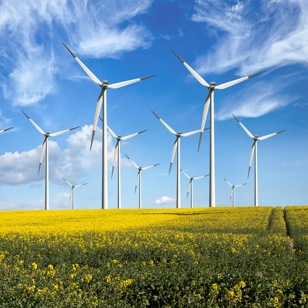 Wind-Abos